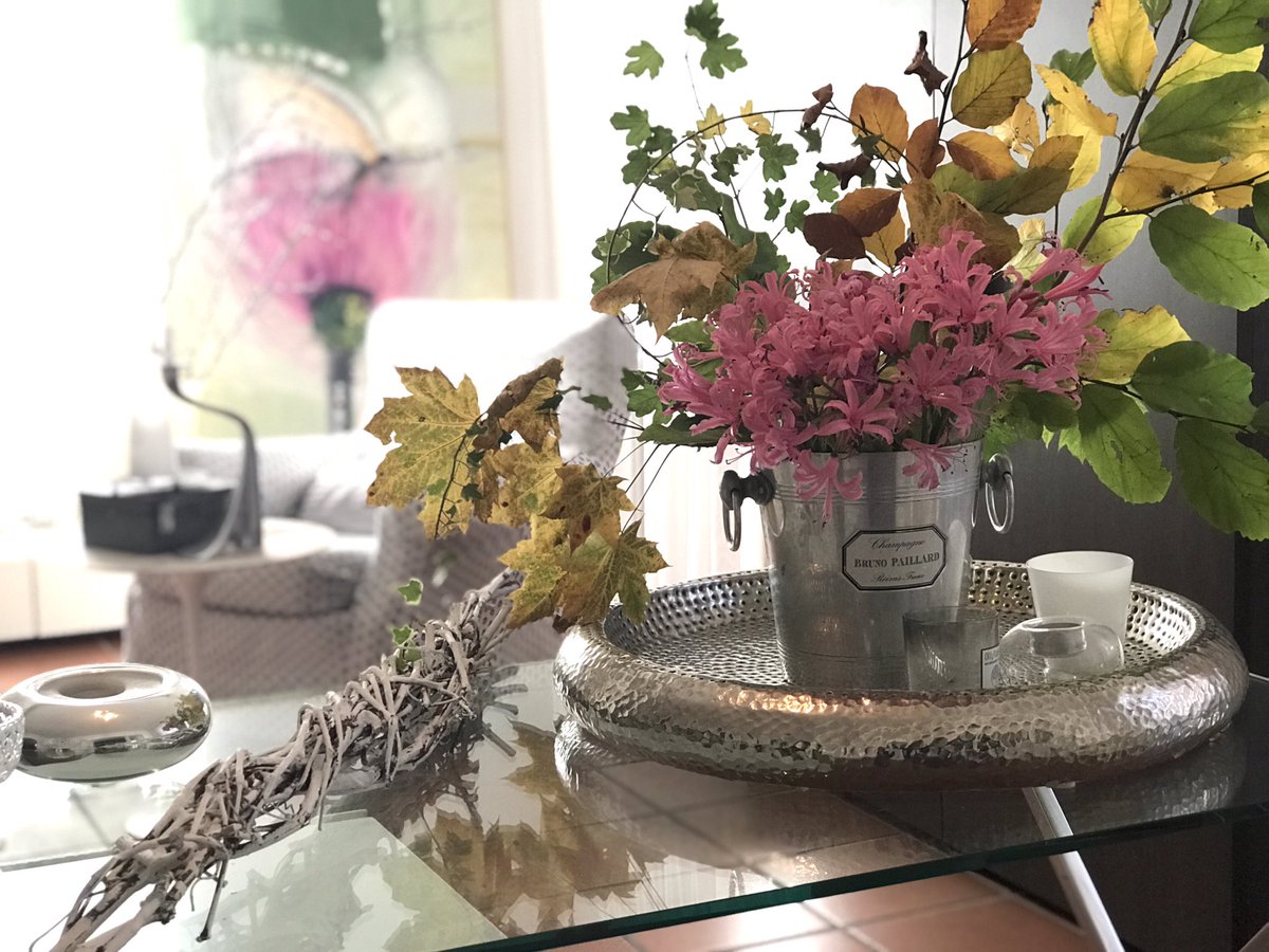 chiarasroom's tweet photo. Un giardino bello in ogni stagione. 
Figuriamoci in autunno! 🍂 

#chiarasroom #autunno #Autumn https://t.co/rNTB5KRW3z