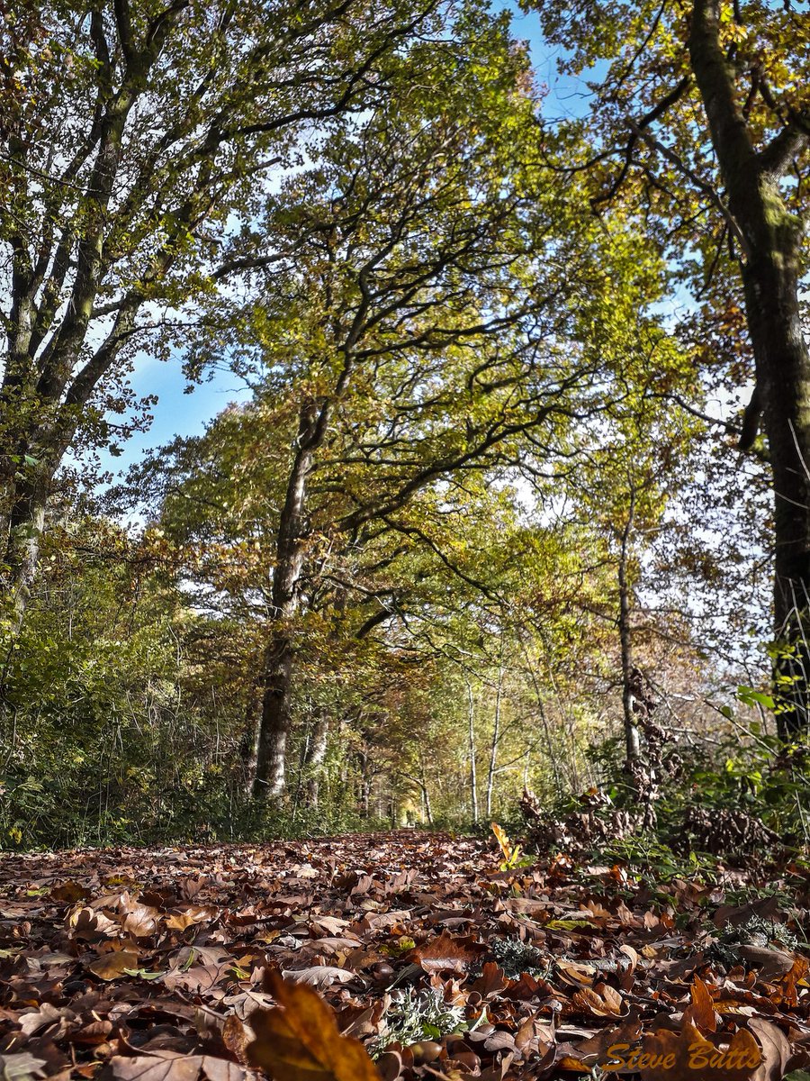 Rhayader footpath.