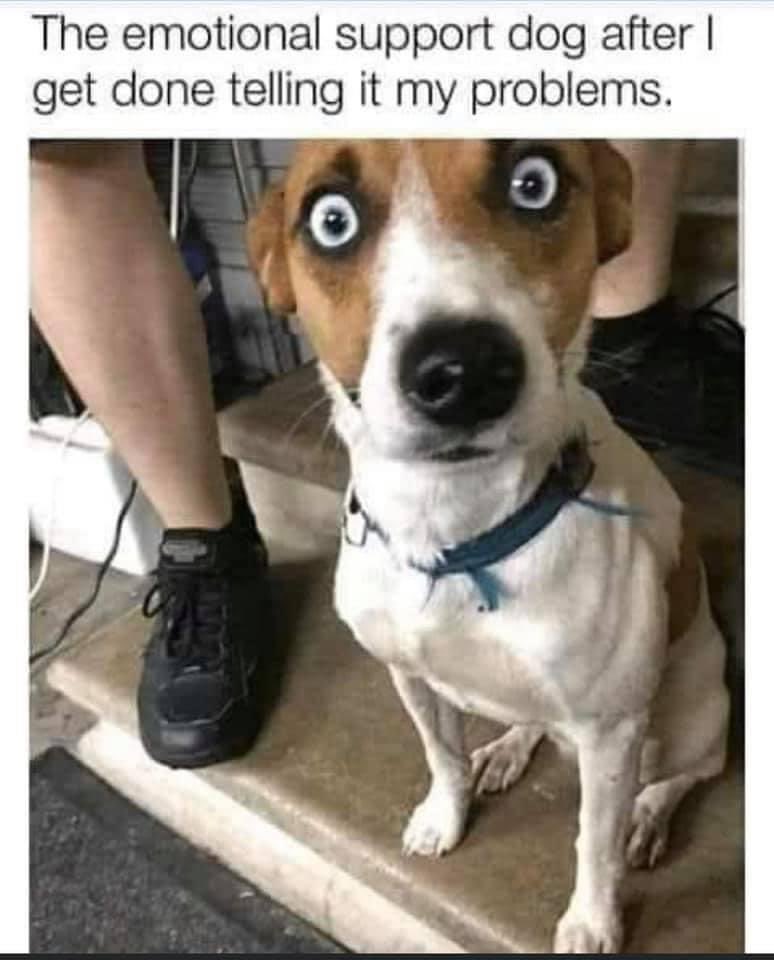 travelingman88's tweet photo. #funniestthing https://t.co/EOsgnwZ0ki