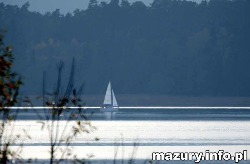 MAZURY INFO PL tweet media