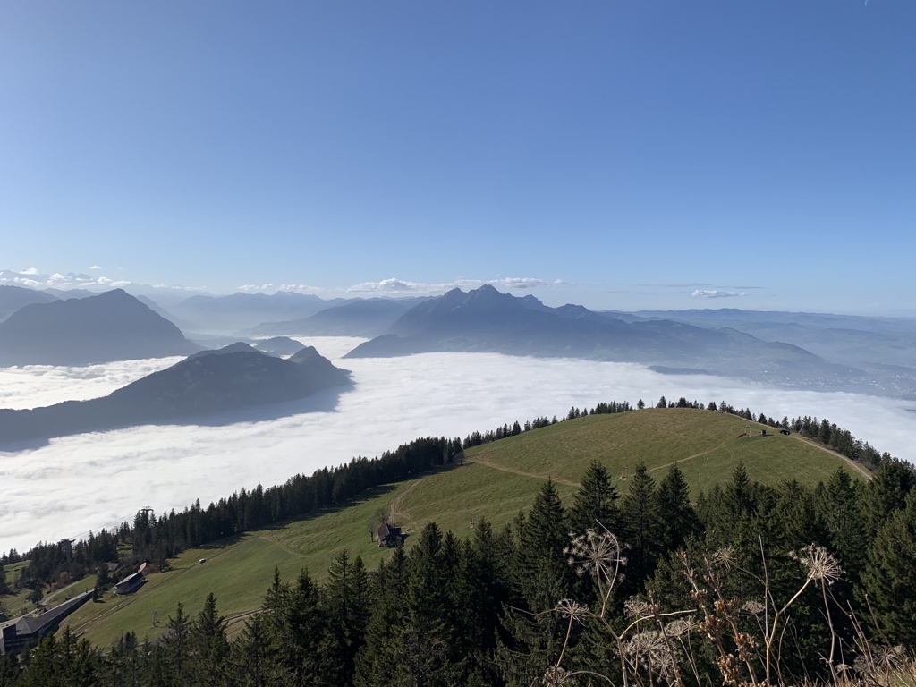 Max Schlapfer tweet media