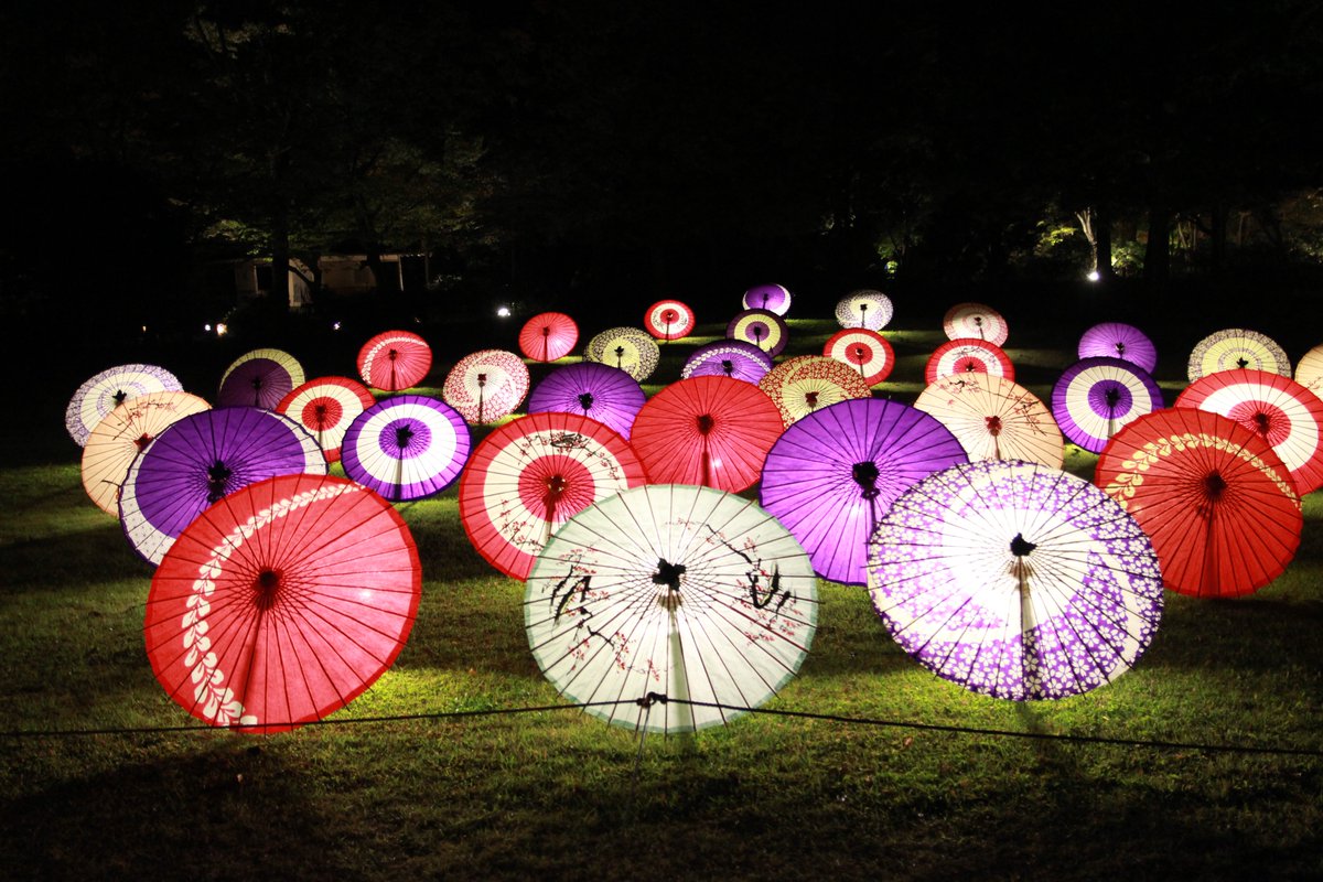 kisidou's tweet photo. 先週金曜の夜に昭和記念公園へ夜景撮影に行ってきましたー！！久々の夜景撮影だったけどやっぱり夜景は難しい！！でも何枚かエモいの撮れた～！！1枚目は湖と反射してるの撮れたし、4枚目は3枚目の風景をスマフォのカメラ越しに撮影してみました！#昭和記念公園 #黄葉紅葉まつり2020 #秋の夜散歩2020 https://t.co/AtJSqyozgS
