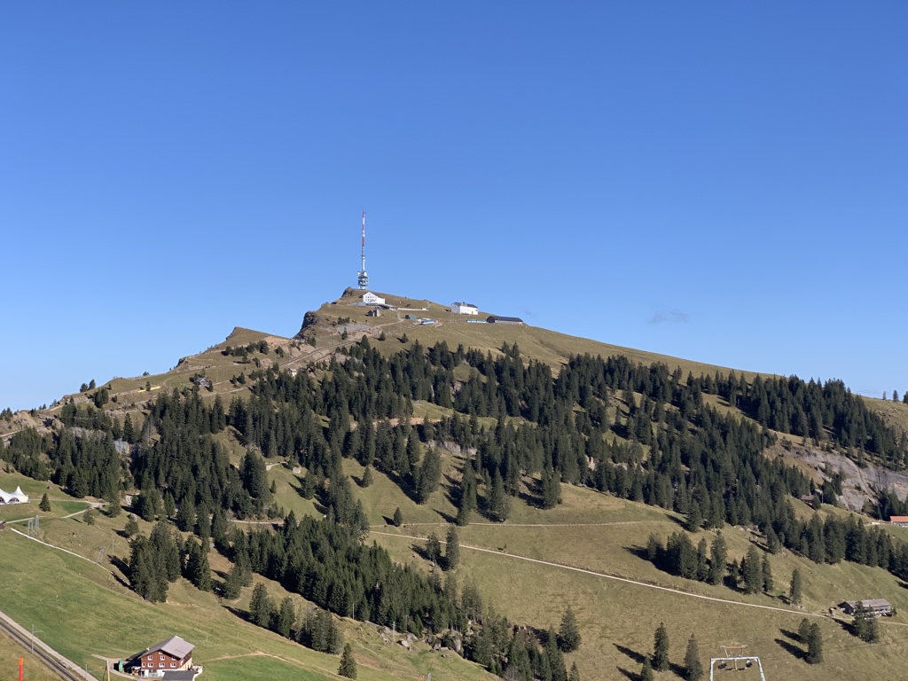 Max Schlapfer tweet media