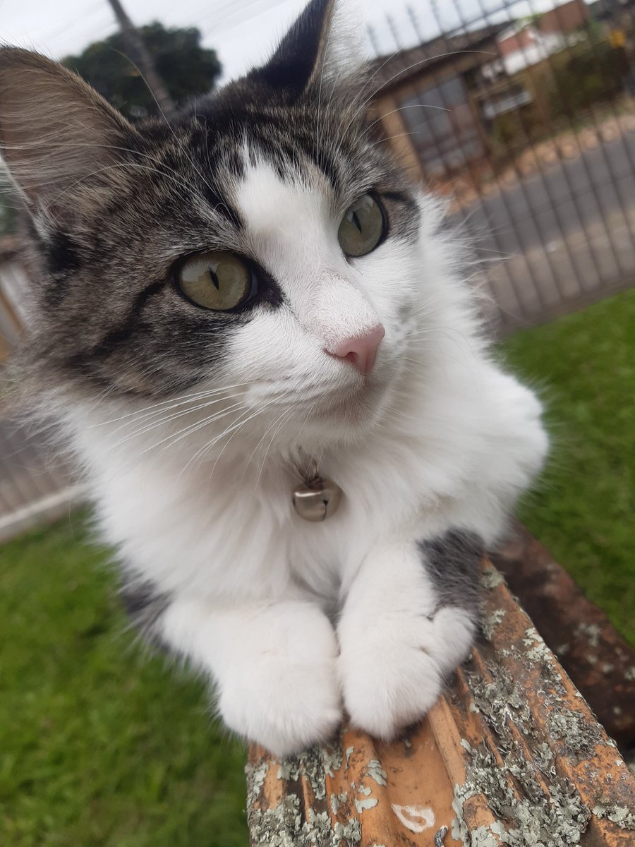 sracheeks's tweet image. A minha filha é muito linda caras💚