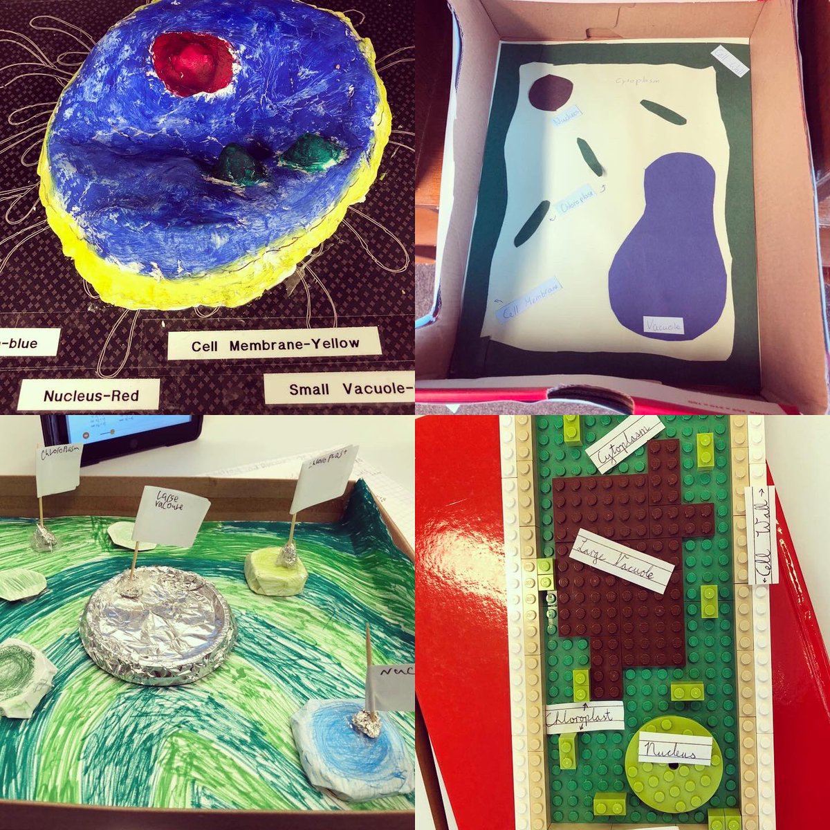 galwayetss's tweet image. Science week started a little early last Friday with first year students presenting their cell models #scienceweek #cellmodel #plantcell #animalcell #beingcreative #biologicalworld #juniorcycle