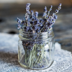 "However, it is strongly advised that you seek the counsel of a healthcare professional before using any of the following essential oils for air purification in your home" lttr.ai/Y3px

 #Health #EssentialOil