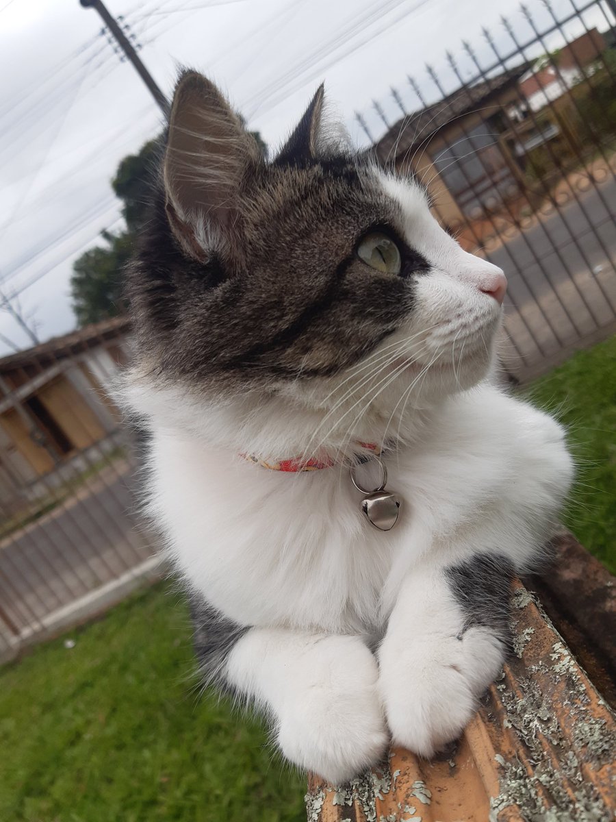 sracheeks's tweet image. A minha filha é muito linda caras💚