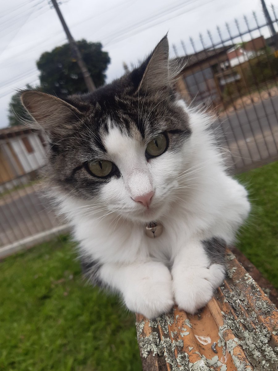 sracheeks's tweet image. A minha filha é muito linda caras💚