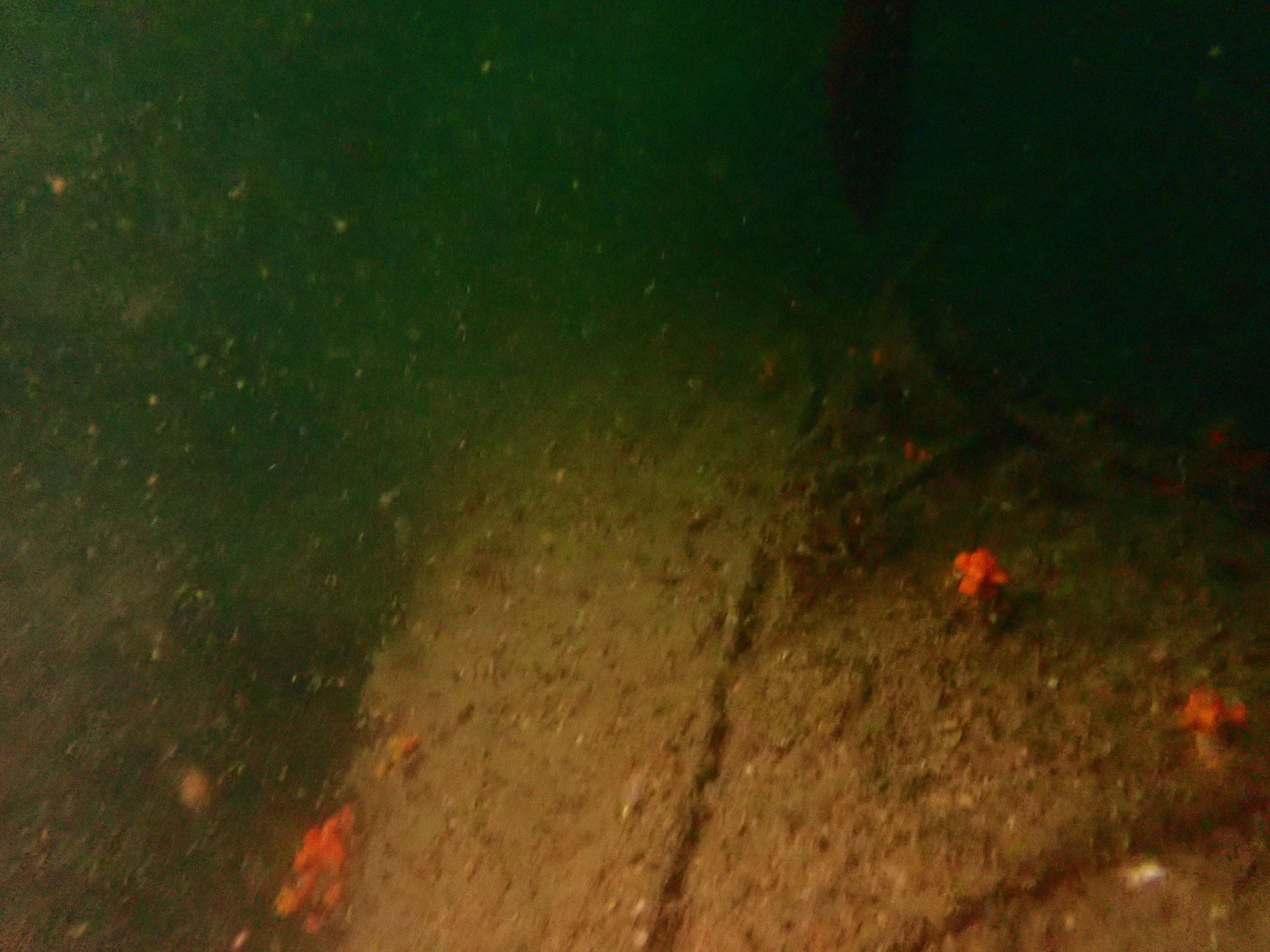 賀茂 (notice_from) / Twitter