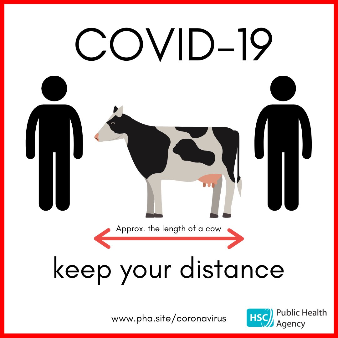 Don’t forget to keep your distance – When meeting up with friends always make sure there is space for a cow between you at all times.
Stop the spread. For more info visit pha.site/coronavirus
<a href="/NIYF/">NI Youth Forum</a>
@niyouthforum
<a href="/cypsp/">CYPSP in N.Ireland</a>
@YoungCarersNI
@EAFLAREproject
@voiceofyoungpeopleincare
