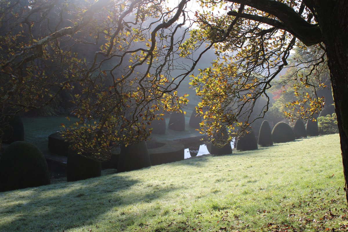 Mapperton House & Gardens tweet media