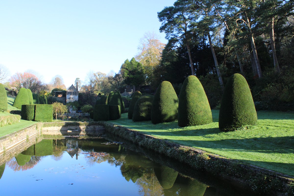 Mapperton House & Gardens tweet media