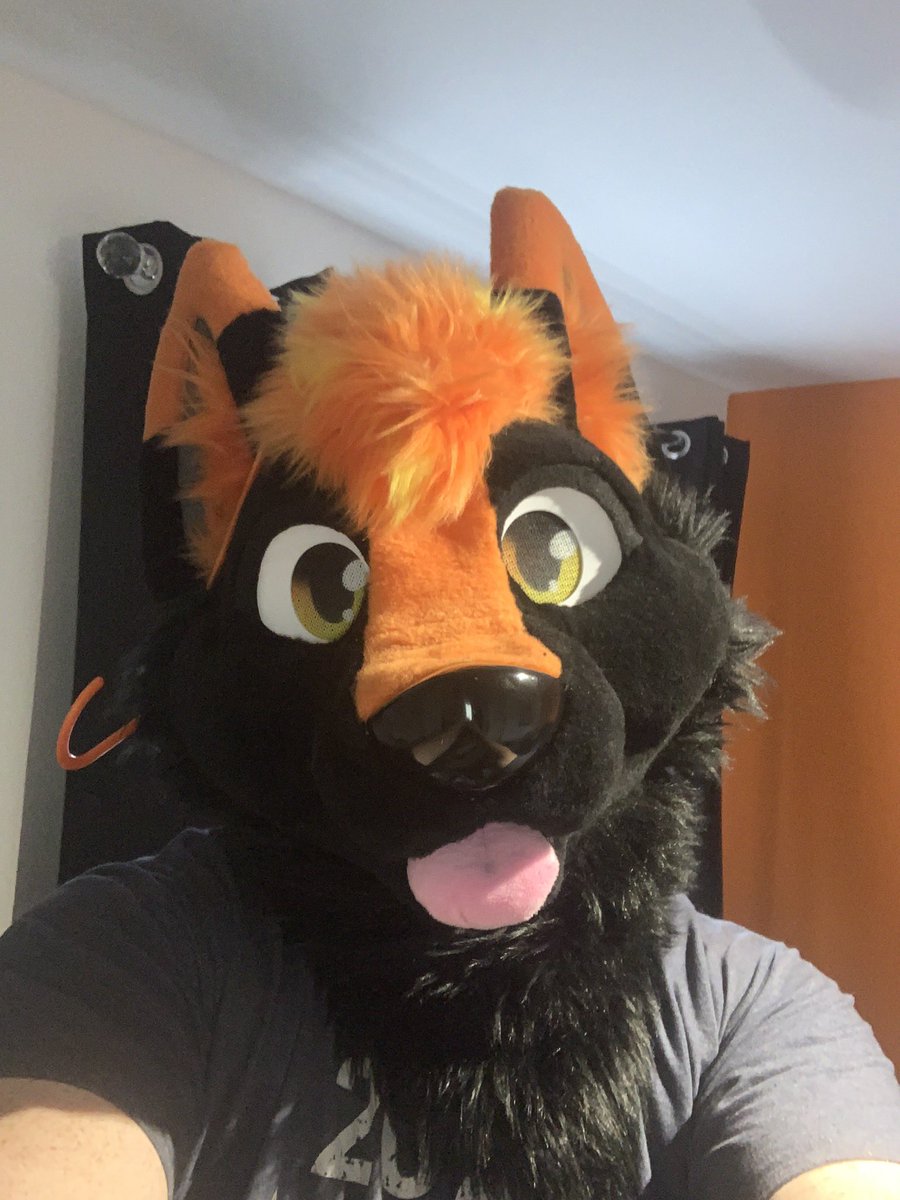 Osi_wolf's tweet photo. Suuuuuuup
#furry #coathangergang #ourdailyblep #fuckitsmonday https://t.co/M1gexIv7BA