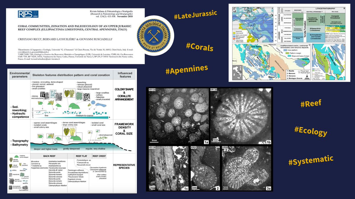 SocGeol's tweet photo. #papermonday Coral communities, zonation and paleoecology of an Upper Jurassic reef complex (Ellipsactinia Limestones, Central Apennines, Italy)(Rivista Italiana di Paleontologia e Stratigrafia, 2018, 124, 433-508) di Ricci C. e coautori. Buona lettura!! 📜https://t.co/RIAvtcEFkf https://t.co/1o8x4DjJjY