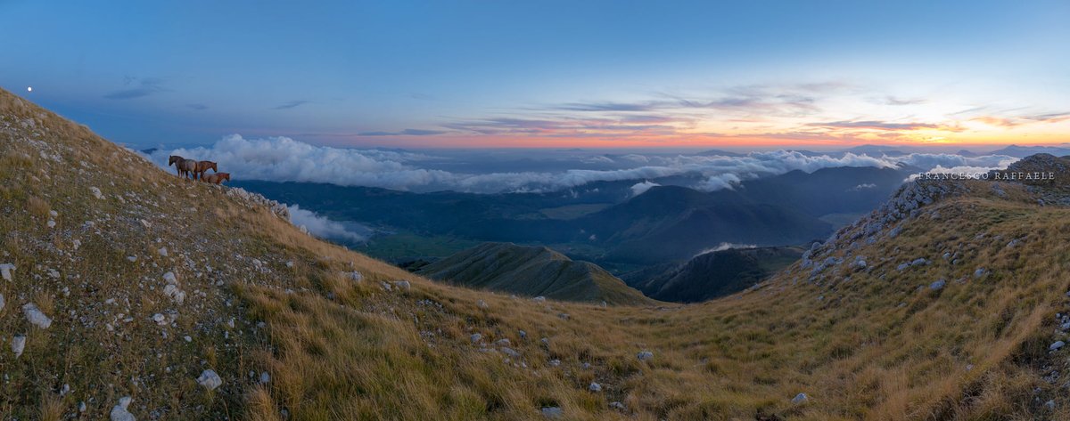 sentieroitalia's tweet photo. 📚 "Discesa dal #MonteMiletto al #LagoMatese, sulla tappa del #SentieroItaliaCai da Piedimonte Matese a Campitello Matese": le bellissime foto di Francesco Raffaele, autore di Idea Montagna, che sta percorrendo il #SentieroItalia Cai in #Campania per scriverne la Guida ufficiale! https://t.co/vFsJwBzlHG