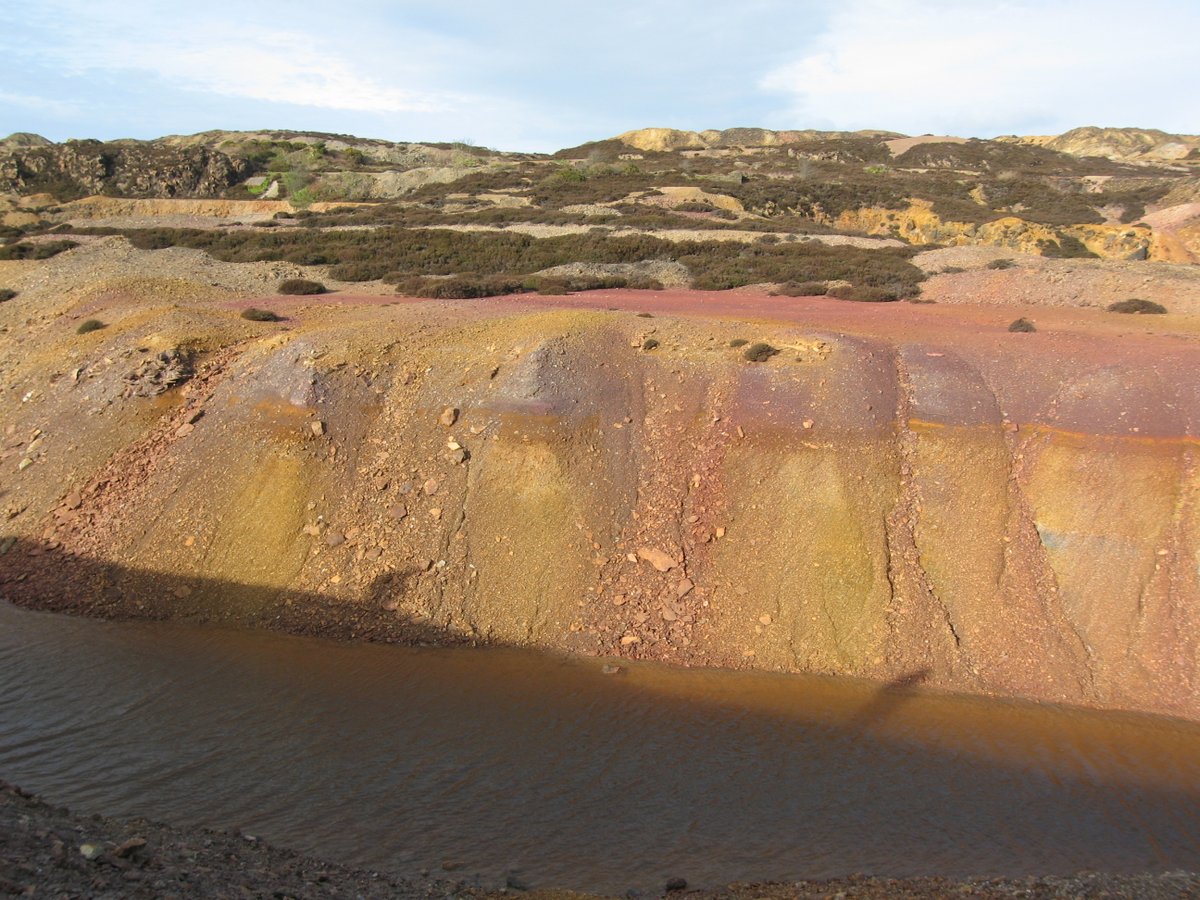 Prof Gawen Jenkin @gawenjenkin.bsky.social tweet media