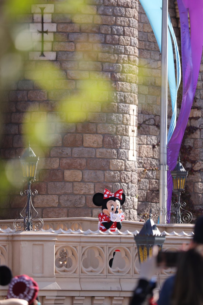 daisyuria's tweet photo. んまっ♡んーまっ♡
#minneymouse #城グリ #投げちゅ https://t.co/hcmlqfHObx