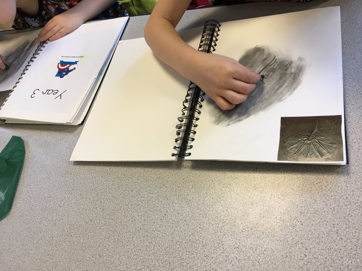 springfield_cps's tweet photo. Avengers were working hard using charcoal to draw fossils. We used charcoal to make a grounding for the background and then drew the fossil over it. Well done Avengers! #scpsart https://t.co/1tJshDfLtk
