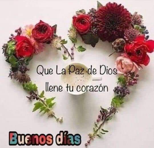 #VenezuelaMia 🐶😘👼💔 tweet media