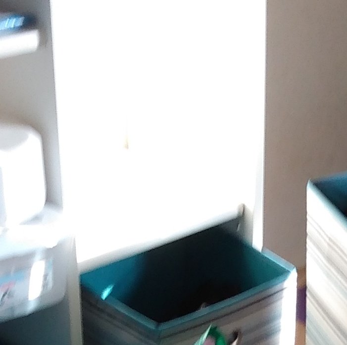 danyelannb's tweet photo. Apparently it's a cat shelf
#SillyMackie
#cats 🤪🙄
#sunbathingCats https://t.co/gkk0klitab