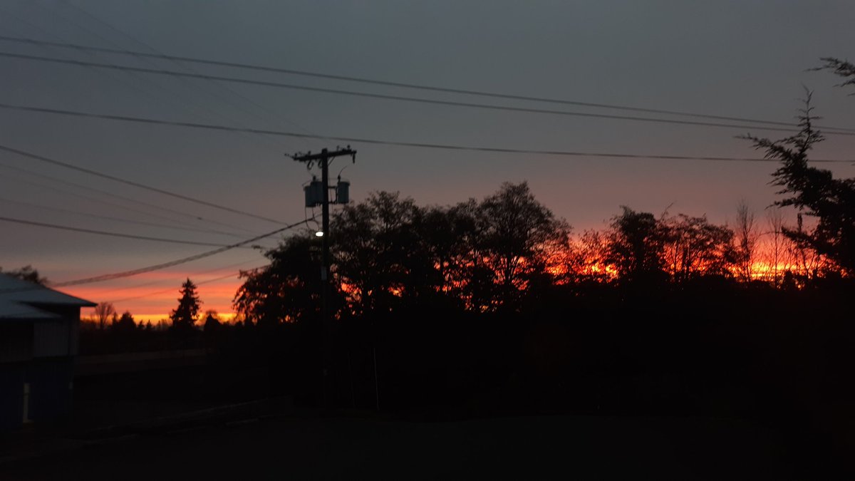 STAerialPhoto's tweet photo. Suburban Sunrise #PNW #sunrise #mobilephotography #cellphoto #survivethis https://t.co/Bri4PFSUBp