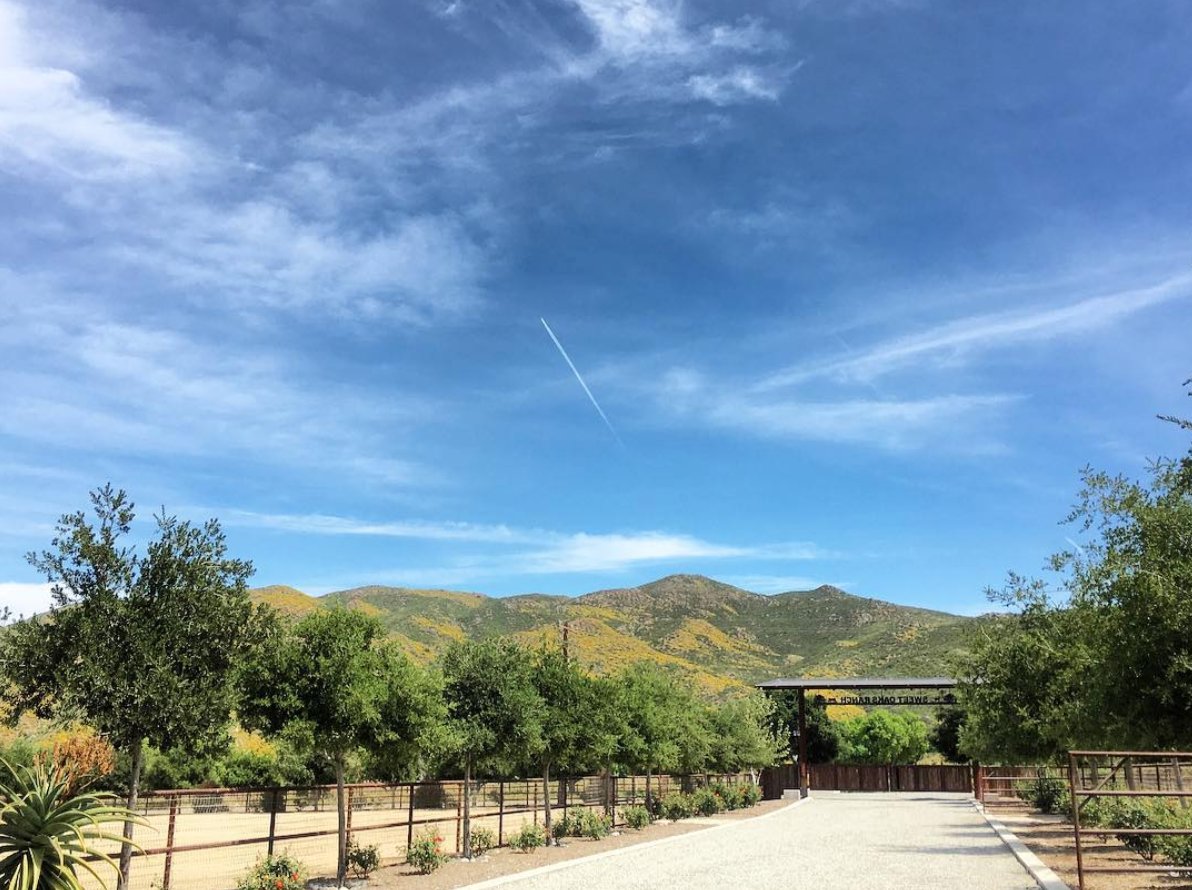 RedneckVine's tweet image. Sweet Oaks is live on Harvest Hosts!

If you're a Harvest Host member or looking to join, Sweet Oaks Ranch is the perfect start -or- pit stop on your cross-country journey. 🌄  Make sure to reserve your spot today! sweetoaks.com/visit/