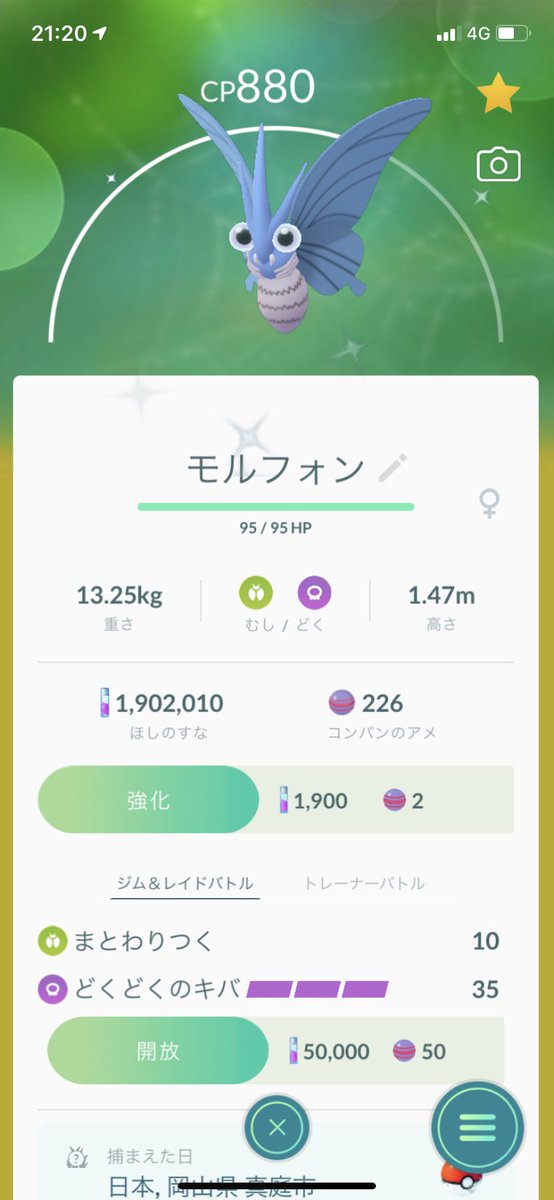 モルフォン モルフォン