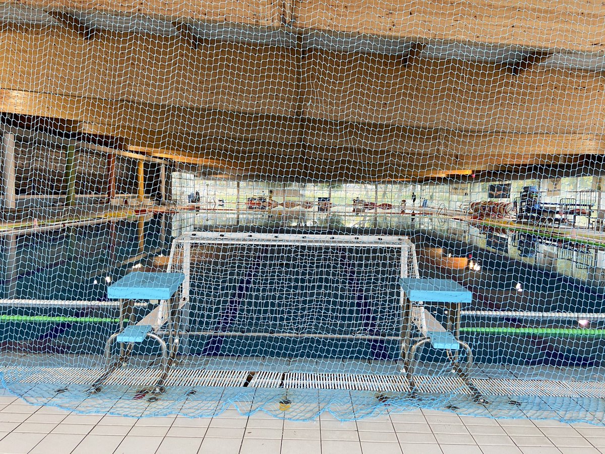 alcorconhoy.com tweet media