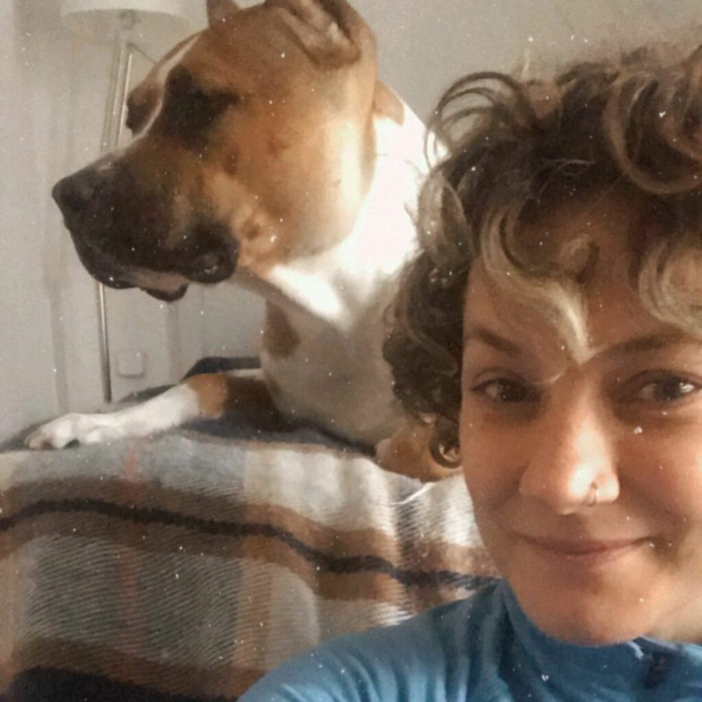 SimpleTybs's tweet photo. 09.11.20  yo intento posar igual de bien que Willy. Pero está claro, que quien lleva los genes de #dogfluencer es él. https://t.co/dh1bJ0CtyA
