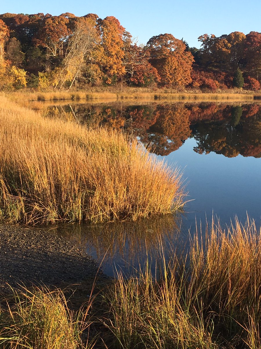 NausetComputerScience tweet media