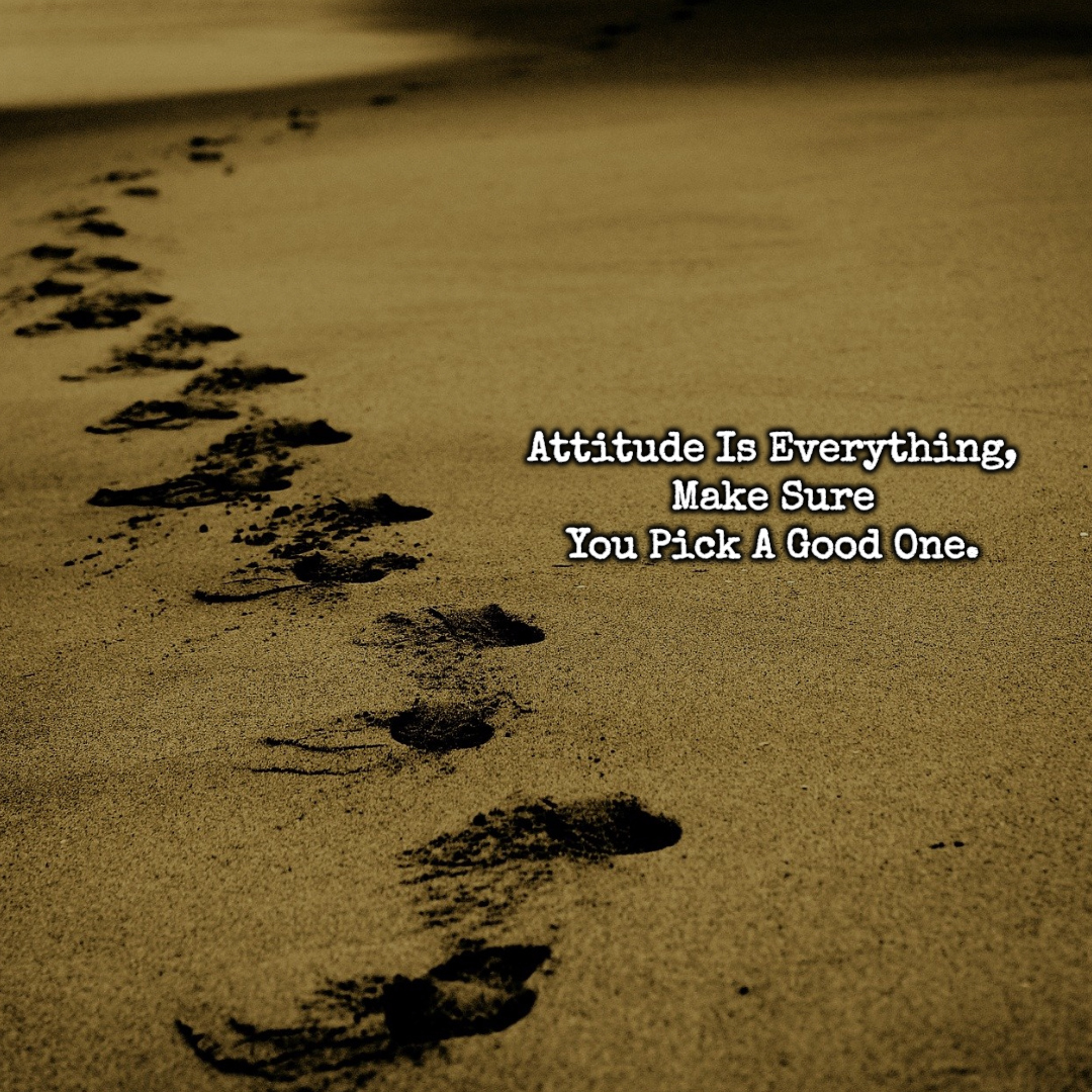 #સમझने #boyattitude #singal #attitudelover #attitudeking👑 #myattitude #attitudeboys #attitudeboy😎 #noattitude #attitudeofgratitude