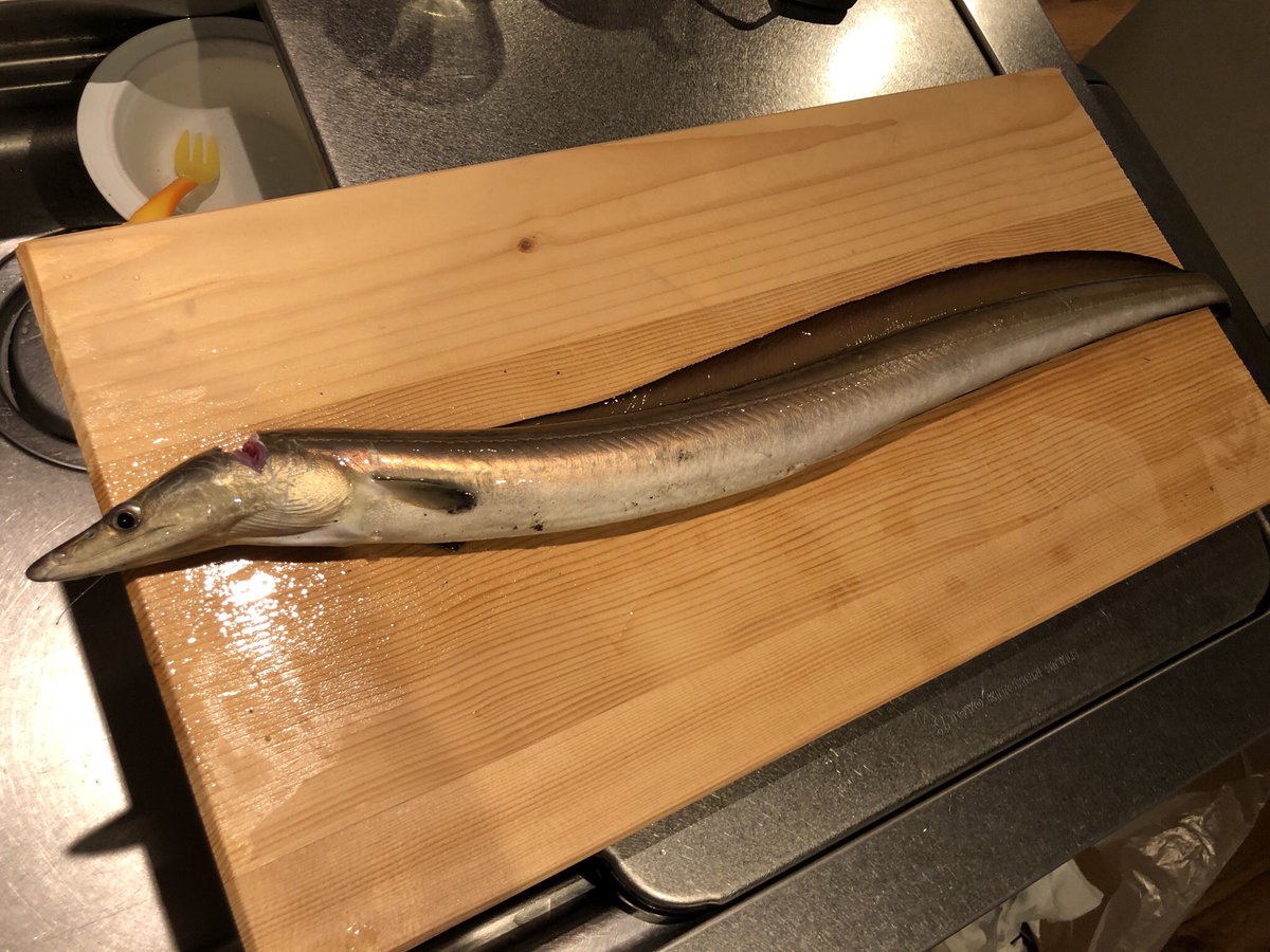 きれいなアジのボラ 17時頃 用宗港内にて サビキで釣れたサッパの泳がせ釣りでヒット 75センチオーバー ハモ 暗くてウナギに見えた 仕掛けはヒラメ狙いの飲ませ 底の方から魚が浮いてこないように オモリの近くにハリスを付けています 湯引き きれいなアジのボラ 17時頃 用宗港内にて サビキで釣れたサッパの泳がせ釣りでヒット 75センチオーバー ハモ 暗くてウナギに見えた 仕掛けはヒラメ狙いの飲ませ 底の方から魚が浮いてこないように オモリの近くにハリスを付けています 湯引き