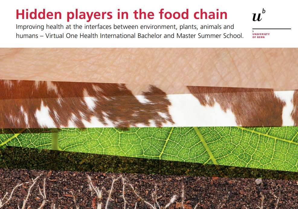 Peffi4's tweet photo. Online Summer School "Hidden players in the food chain" @OneHealthUniBe https://t.co/RuJ9PkpOu7