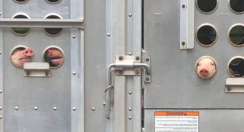 John Oberg tweet media