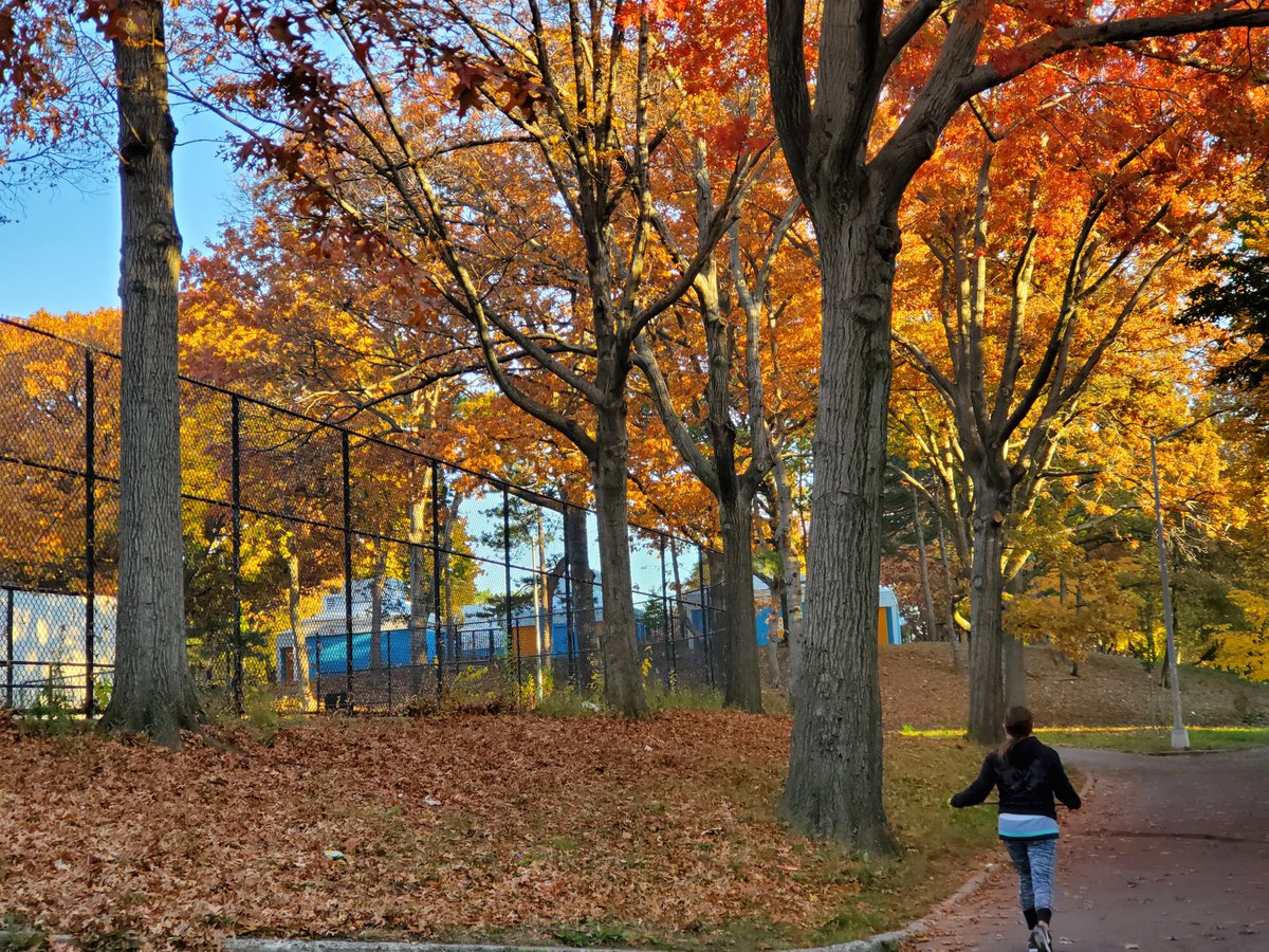 FitnessNever's tweet photo. Monday Morning #bronx @NYCParks #fallnyc https://t.co/yn21RODdhD