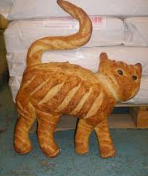 Thelastmeow1's tweet photo. Cats Loafing Around

#catfood #catfoodmurah #funnycats #catfoodjkt #catfoodpremium #catbread #catloaf #catfoodempire #catfoodie #cat #catfoodsegar #bread #catfoodshouldntsuck #catsofworld # catsofinstagran https://t.co/512FizroTD