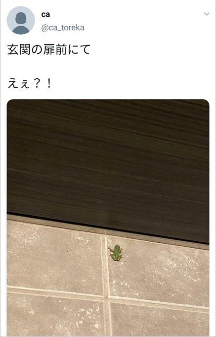 遊戯王の空き巣事件で被害総額1億円以上被った人 カエルやクワガタで帰宅時間を特定されていたんじゃないかと話題に あにまんch 遊戯王の空き巣事件で被害総額1億円以上被った人 カエルやクワガタで帰宅時間を特定されていたんじゃないかと話題に あにまんch