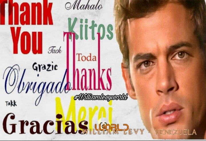 WLW_Venezuela's tweet photo. Gracias #levyfans #levymundo por el cariño y apoyo que le dan a nuestro querido @willylevy29 le damos la Bienvenida a nuestros nuevos seguidores #williamlevy #willevy #WLW #williamlevyworld #wlw_venezuela🇻🇪 #WLWSudamérica #satorial #Cojimar https://t.co/s5AaaWspGP