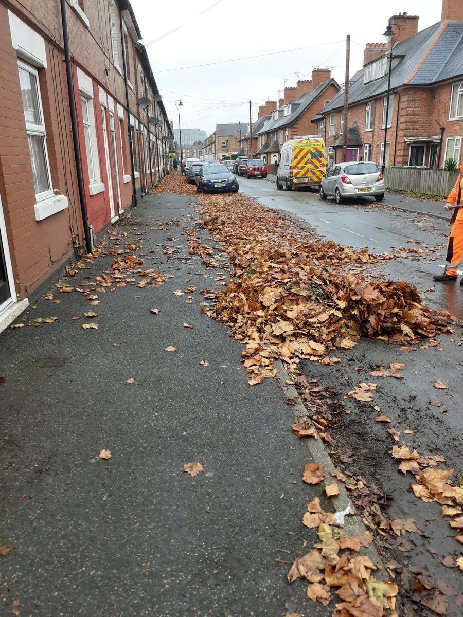 MeadowsPublicRealm tweet media