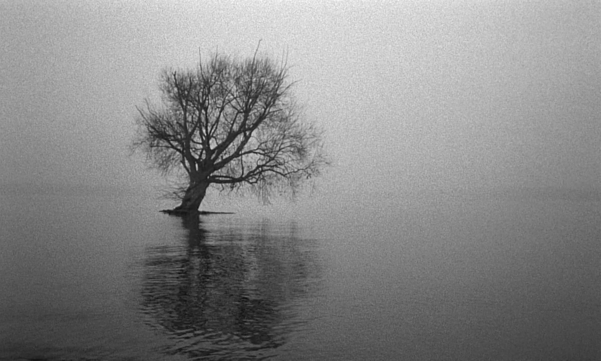 LostInFilm's tweet photo. When the child was a child
it walked with its arms swinging,
wanted the brook to be a river,
the river to be a torrent,
and this puddle to be the sea.

When the child was a child,
it didn’t know that it was a child,
everything was soulful,
and all souls were one. https://t.co/8H2UVL6fbS