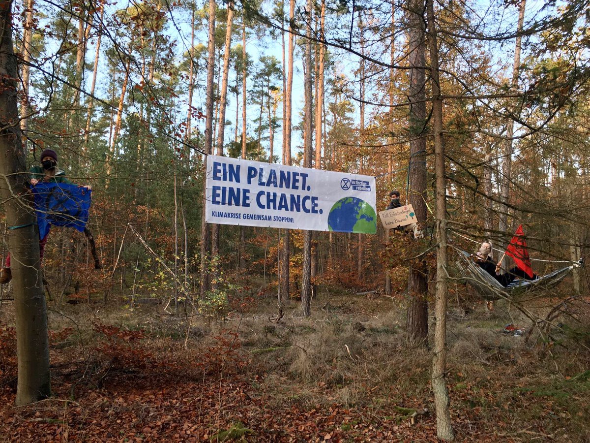 Für jeden Baum, den ihr fällt, besetzen wir einen neuen. 
In Solidarität mit @keine_a49 und den Aktivist:innen in Gefangenschaft. <a href="/wsa_buendnis/">Wald statt Asphalt 🌳 #GemeinsamGegenDieRodung</a> <a href="/fff_dannibleibt/">Alle für den Danni</a> <a href="/ExtinctionR_DE/">Extinction Rebellion DE</a> @XrMainz 
Handelt jetzt <a href="/gruenehessen/">Die Grünen Hessen</a> und stoppt die Rodung im Dannenröder Wald
 #dannibleibt #danni
