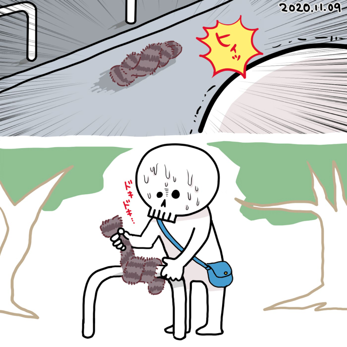 2020年11月9日(月) 落とし物のマフラーが何かの動物に見えてびっくりした