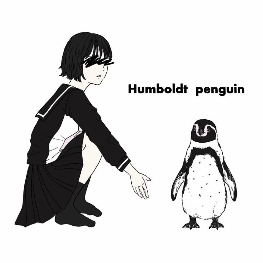昔描いた絵供養
#キングペンギン #フンボルトペンギン #リトルペンギン 