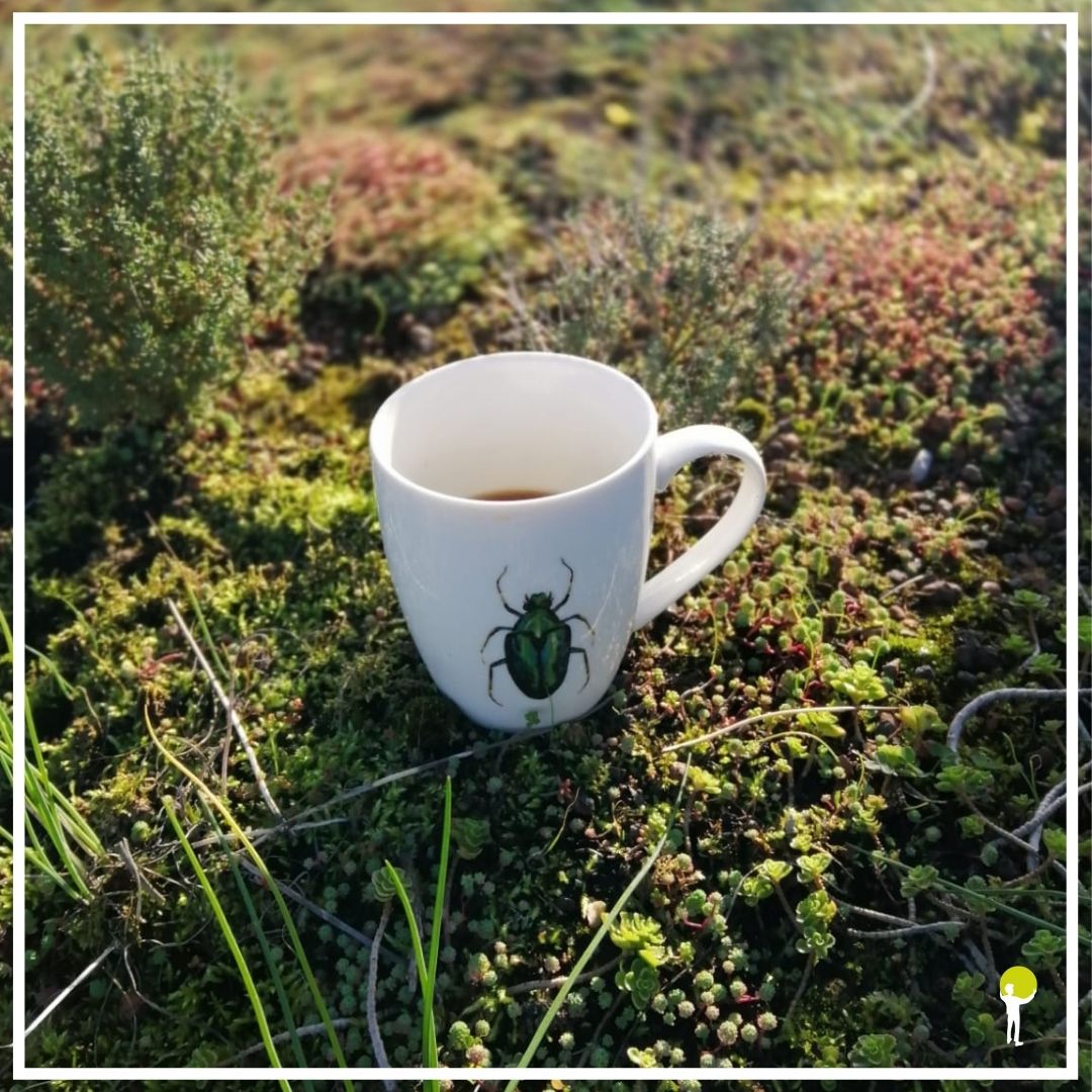 Er gaat niks boven een kop koffie omringt door groen. 

Wij komen u graag onder het genot van een kopje koffie adviseren over het verduurzamen van uw dak!

Heeft u hier interesse in? Neem dan contact met ons op of kijk op onze website voor meer informatie! #solarsedum #groendak
