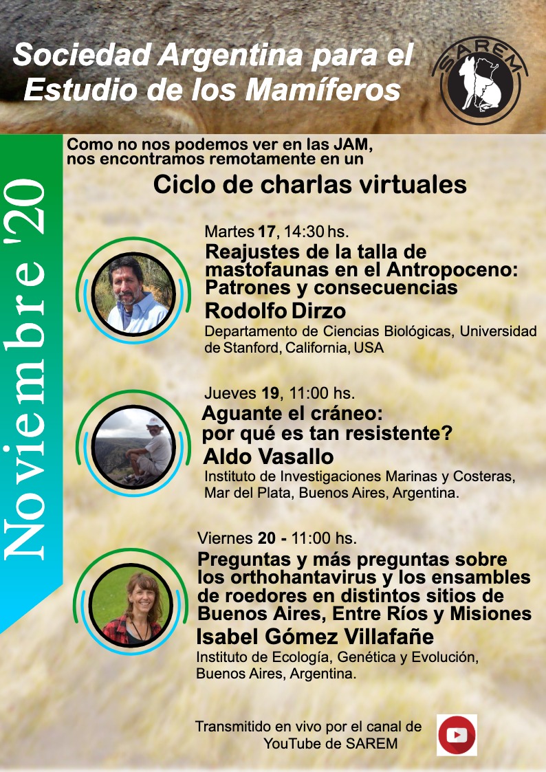 SaremMamiferos's tweet photo. Ciclo de charlas de @SaremMamiferos 
Este año no tendremos jornadas presenciales, pero nos encontraremos en este ciclo de charlas virtuales a través del canal de YouTube de Sarem
https://t.co/EphCTvrJyy https://t.co/WiXd6U8H3t