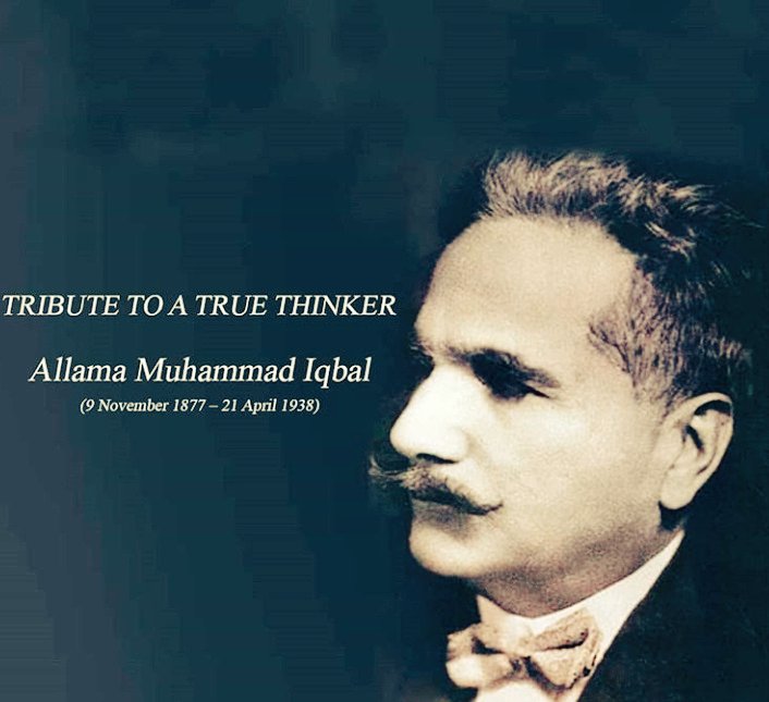 iamFizaCh's tweet photo. National Hero🌷 https://t.co/xaJJPsTzHi