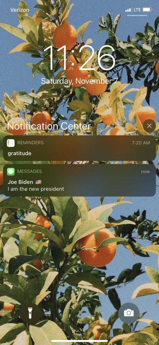 kaylee ver steeg tweet media