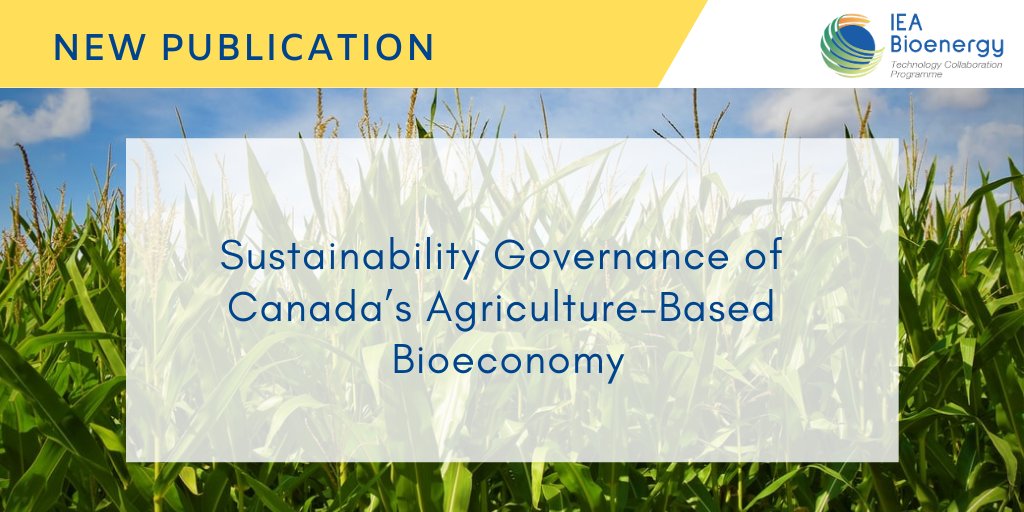 IEABioenergy's tweet photo. How is the #sustainability of the agricultural #bioeconomy governed in #Canada? Learn more by reading this #IEABioenergy #Task43 latest report focused on the production of agricultural #biomass for industrial
bioproducts 
 👉https://t.co/8t2nqSyVv0 https://t.co/j8Jek7rMtf