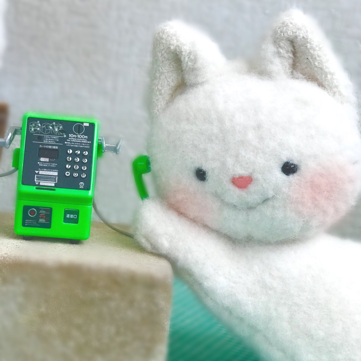 もしもしおもちゃんですか？？
もしもししらたまちゃんですか？？

あれれ～❓❓お隣から声が聞こえるにゃん☎️😹😹