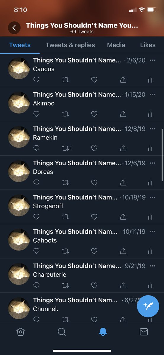 BadCatNames tweet picture